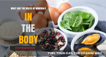 Essential Minerals: Unlocking the Secrets to Optimal Health