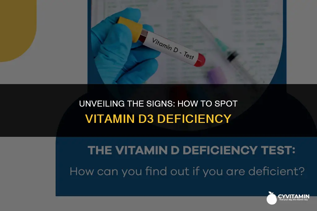 what are the symptoms of vitamin d3 deficiency