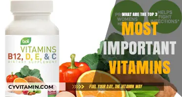 Essential Nutrients: Unveiling the Top Three Vitamins for Optimal Health