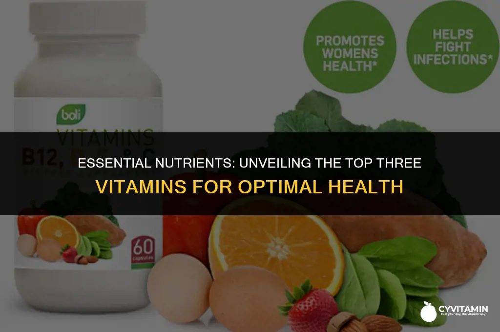 what are the top 3 most important vitamins