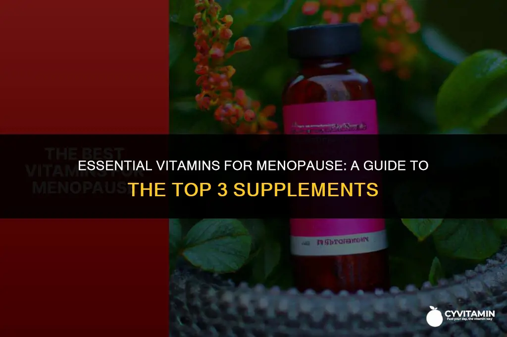 what are the top 3 vitamins for menopause