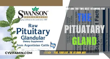 Boost Your Pituitary Gland Health with These Two Essential Vitamins