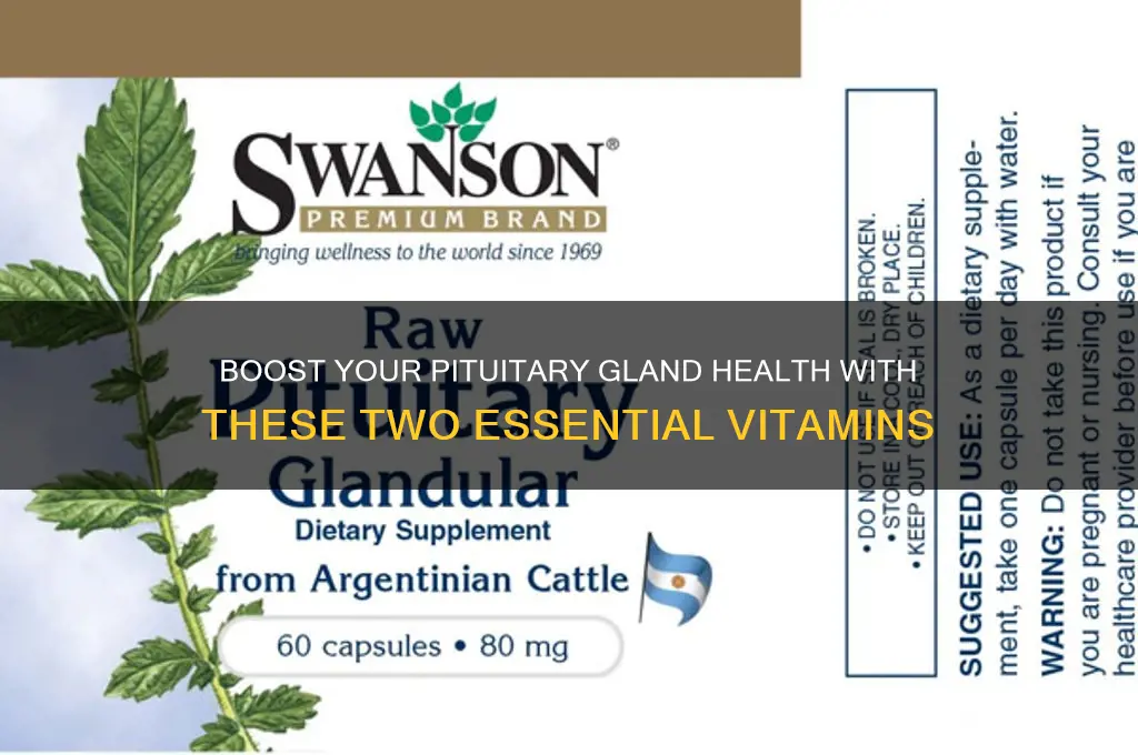 what are the two best vitamins for the pituatary gland