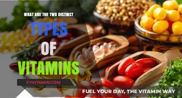 Exploring the Essential Duo: Fat-Soluble and Water-Soluble Vitamins