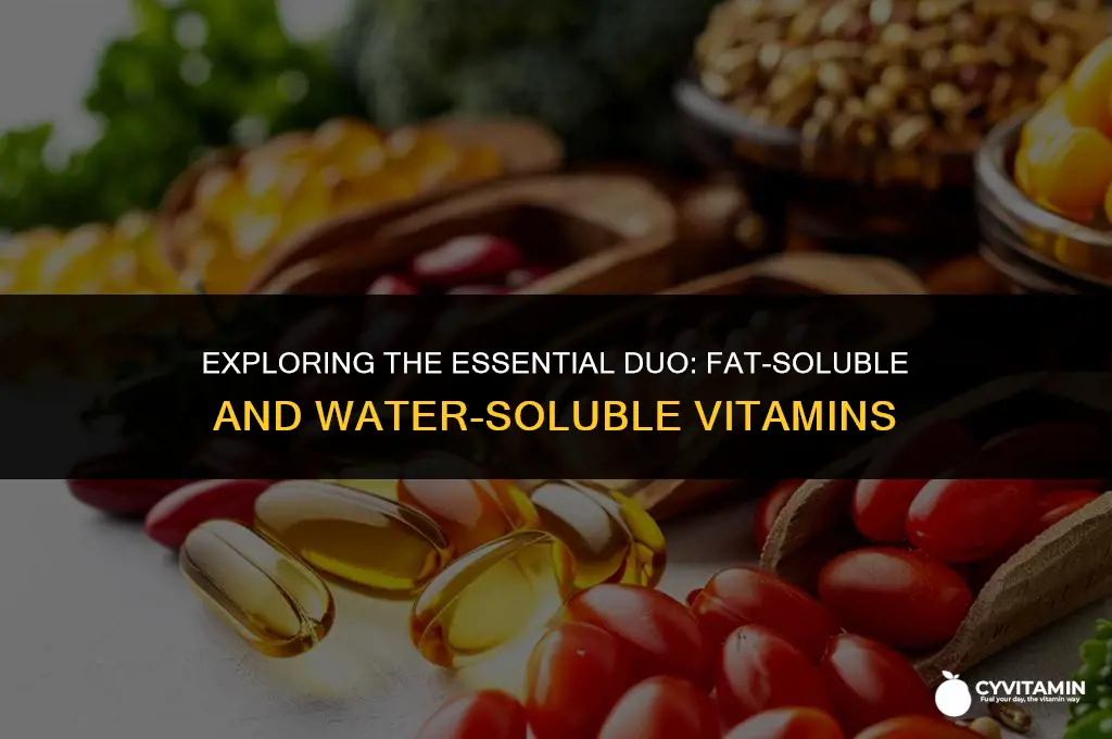 what are the two distinct types of vitamins