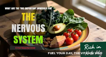 Essential Minerals for Nervous System Health: A Guide