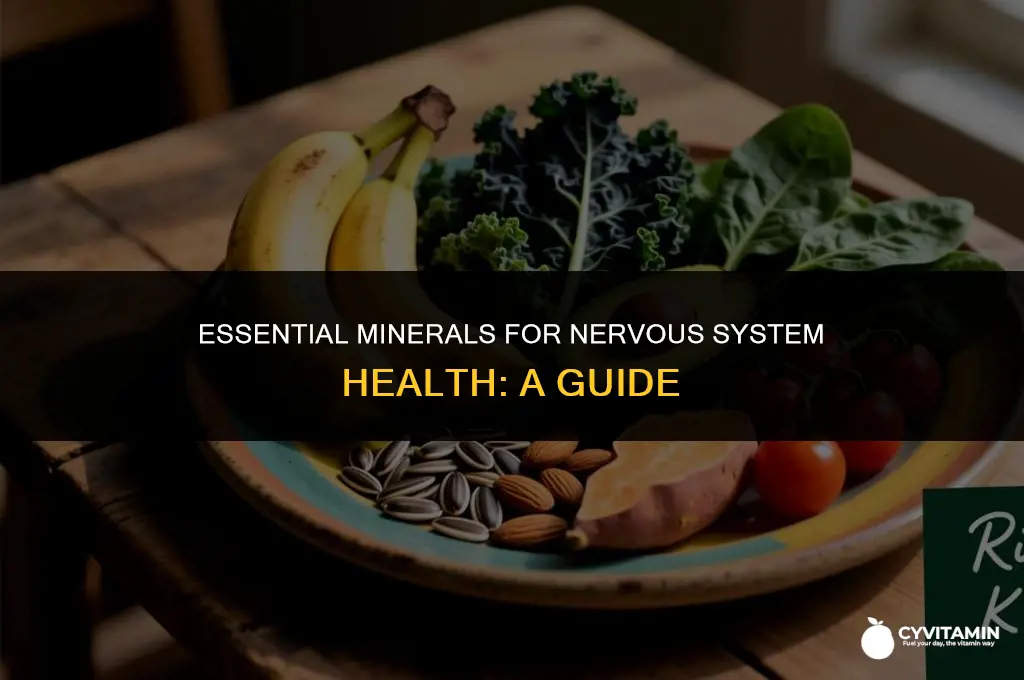 what are the two important minerals for the nervous system