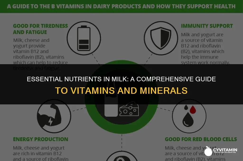 what are the vitamins and minerals in milk