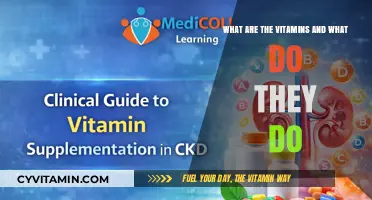 Unlocking the Power of Vitamins: A Comprehensive Guide to Their Functions