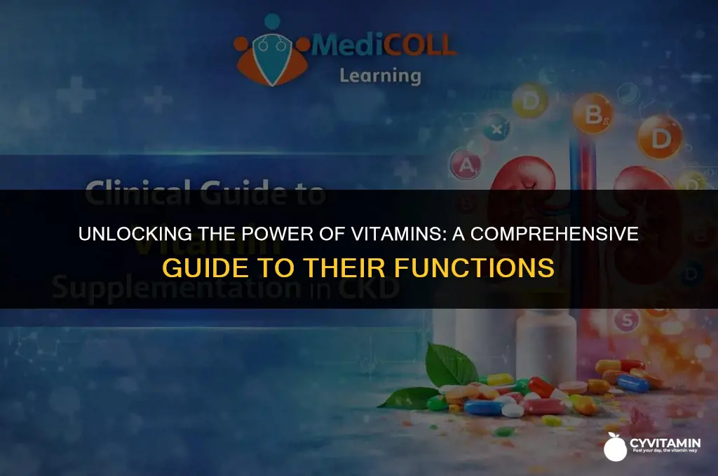 what are the vitamins and what do they do