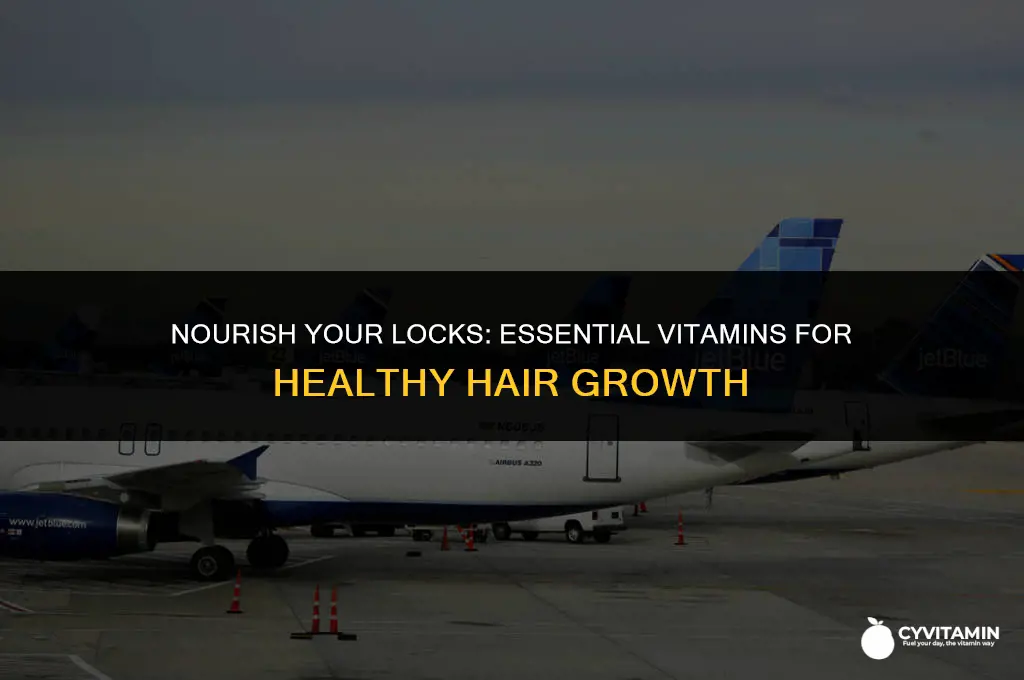 what are the vitamins required for hair growth
