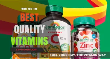 Top Quality Vitamins: Essential Picks for Optimal Health and Wellness