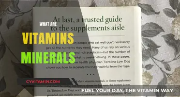 Unlocking the Secrets of Vitamins and Minerals: A Comprehensive Guide