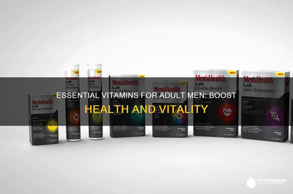 what ate best vitamins for adult men