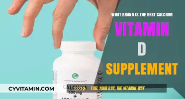 Top Calcium Vitamin D Supplements: Which Brand Reigns Supreme?