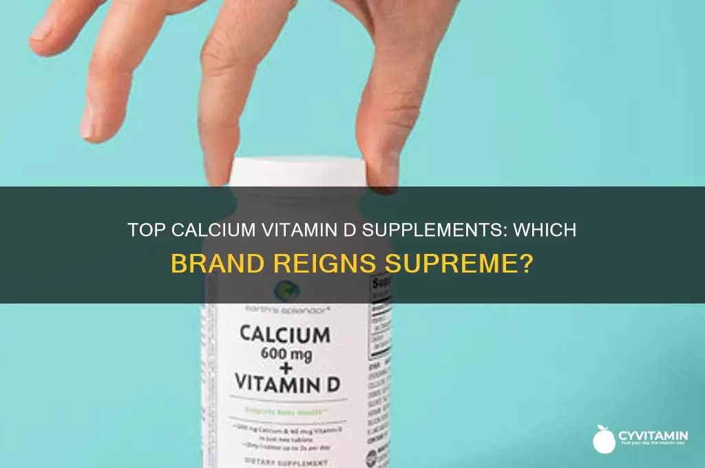 what brand is the best calcium vitamin d supplement