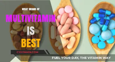 Top Multivitamin Brands: Which One Meets Your Health Needs Best?