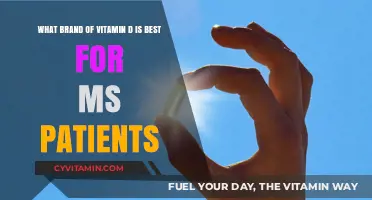 Best Vitamin D Brands for MS Patients: Expert Recommendations and Reviews