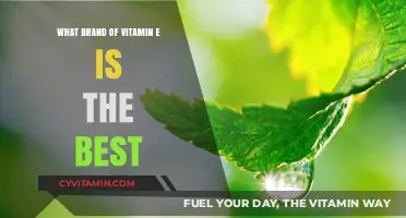 Top Vitamin E Brands: Which One Delivers Optimal Health Benefits?