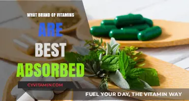 Top Vitamin Brands for Optimal Absorption and Health Benefits