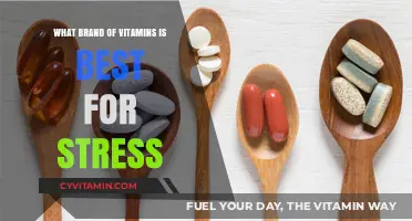 Top Stress-Relief Vitamin Brands: Which One Suits You Best?