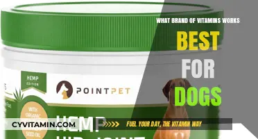 Top Dog Vitamin Brands: Which One Boosts Your Pet's Health Best?