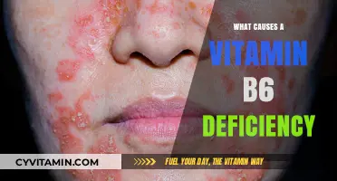 Unraveling the Roots of Vitamin B6 Deficiency: A Comprehensive Guide