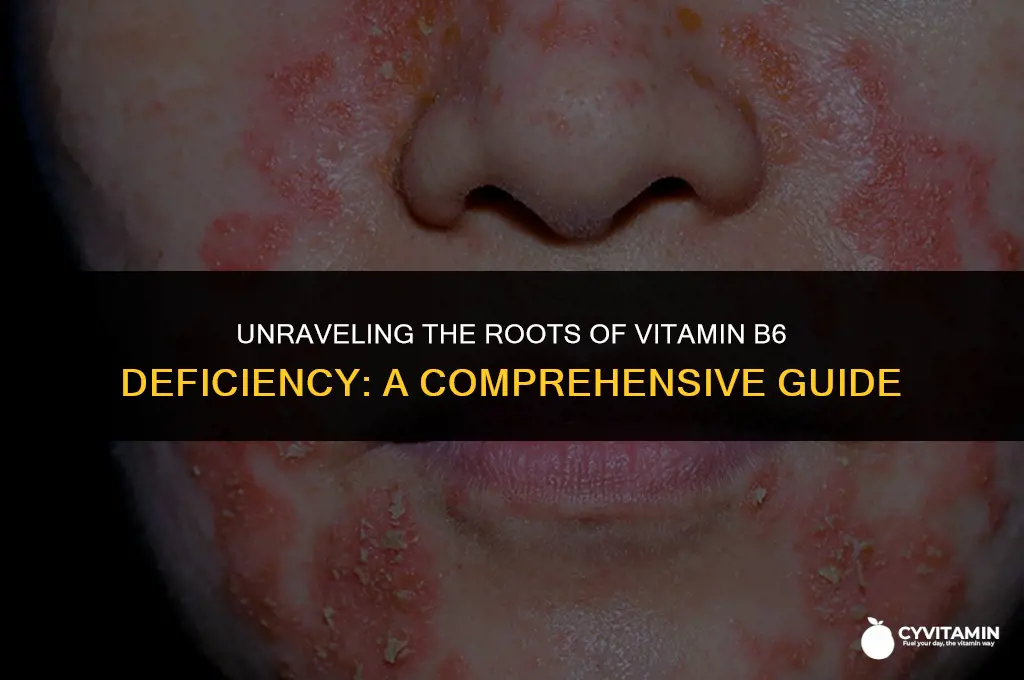 what causes a vitamin b6 deficiency