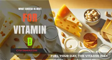 Boost Your Vitamin D Intake: Top Cheesy Picks for Sunshine Nutrients