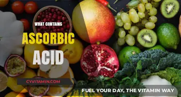 Exploring Foods and Supplements Rich in Ascorbic Acid