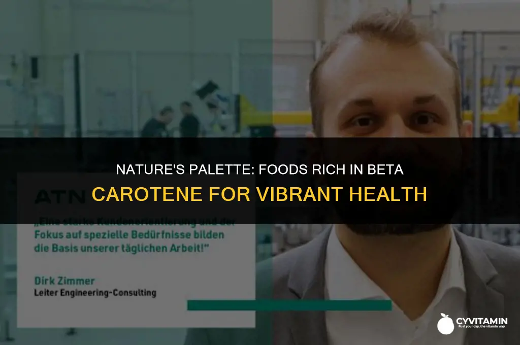 what contains beta carotene