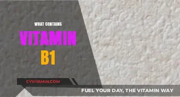 Boost Your Energy: Foods Rich in Vitamin B1 Revealed