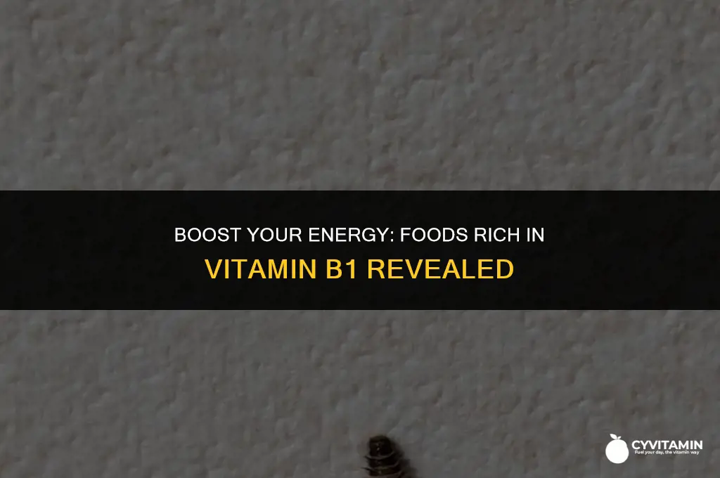 what contains vitamin b1