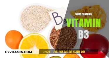 Exploring Foods Rich in Vitamin B3: A Comprehensive Guide