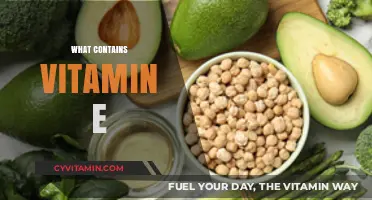 Nature's Powerhouse: Top Foods Rich in Vitamin E