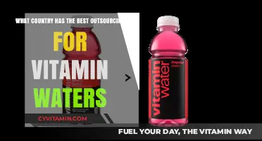 Top Countries for Outsourcing Vitamin Water Production: A Global Overview