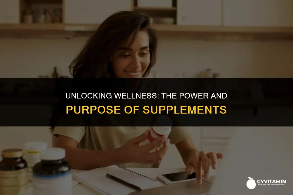 what do supplements do