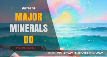Unlocking the Power of Major Minerals: A Guide to Their Vital Functions