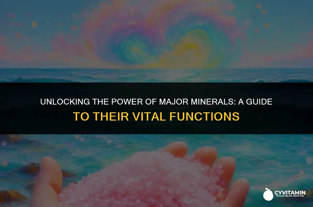 what do the major minerals do