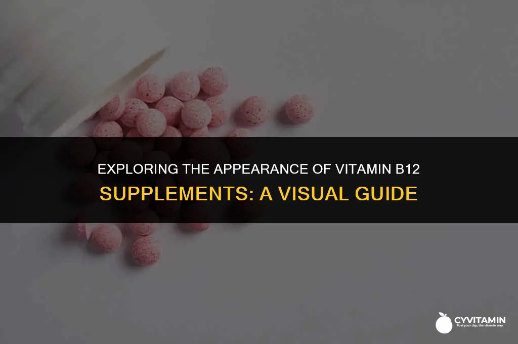 what do vitamin b12 pills look like