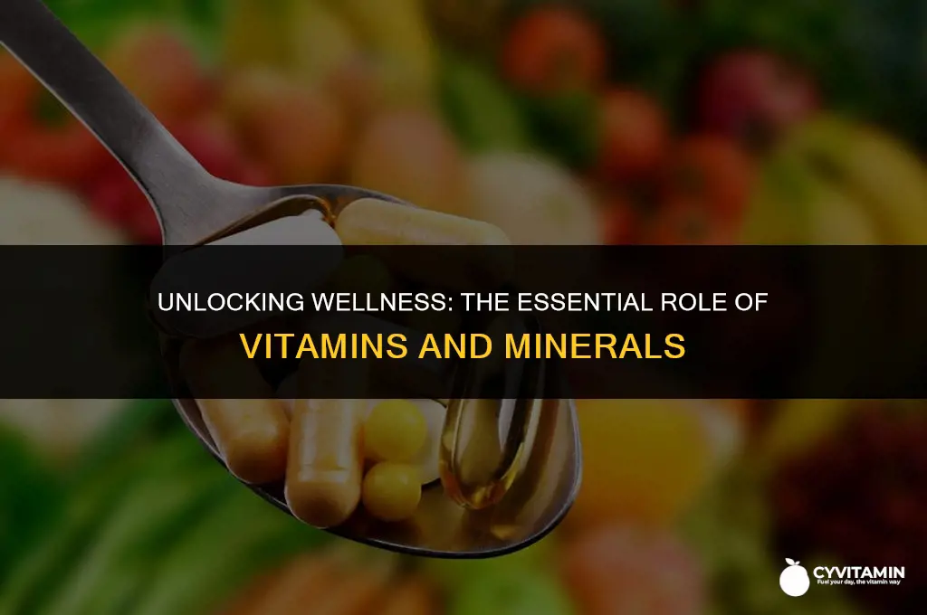 what do vitamins and minerals do to your body