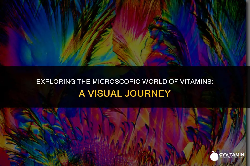 what do vitamins look like under a microscope