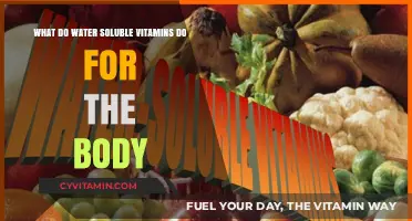 Unlocking Wellness: The Power of Water-Soluble Vitamins
