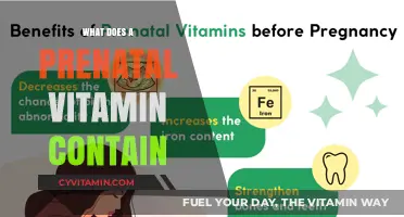 Nourishing Beginnings: Exploring the Essentials of Prenatal Vitamins