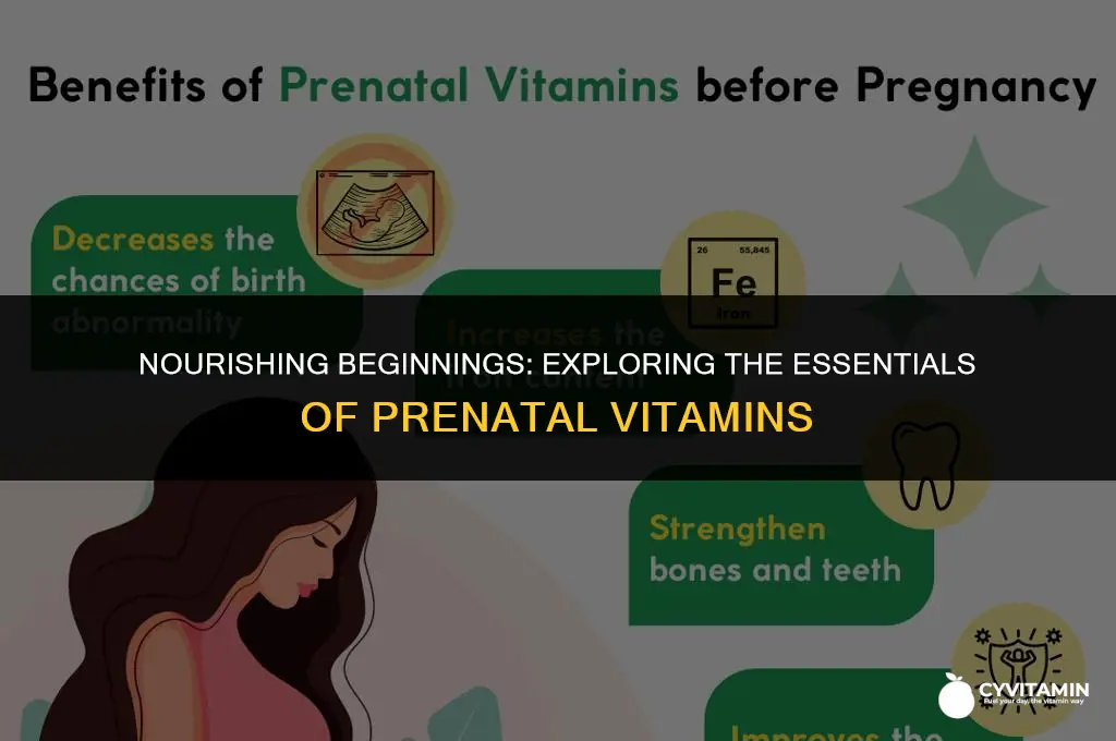 what does a prenatal vitamin contain