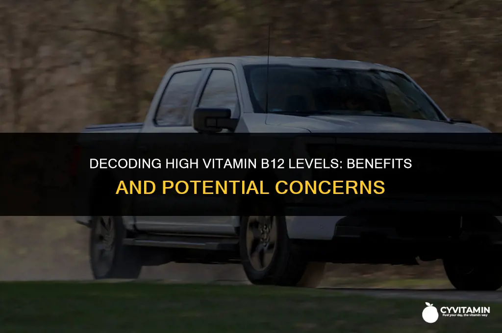 what does high levels of vitamin b 12 mean