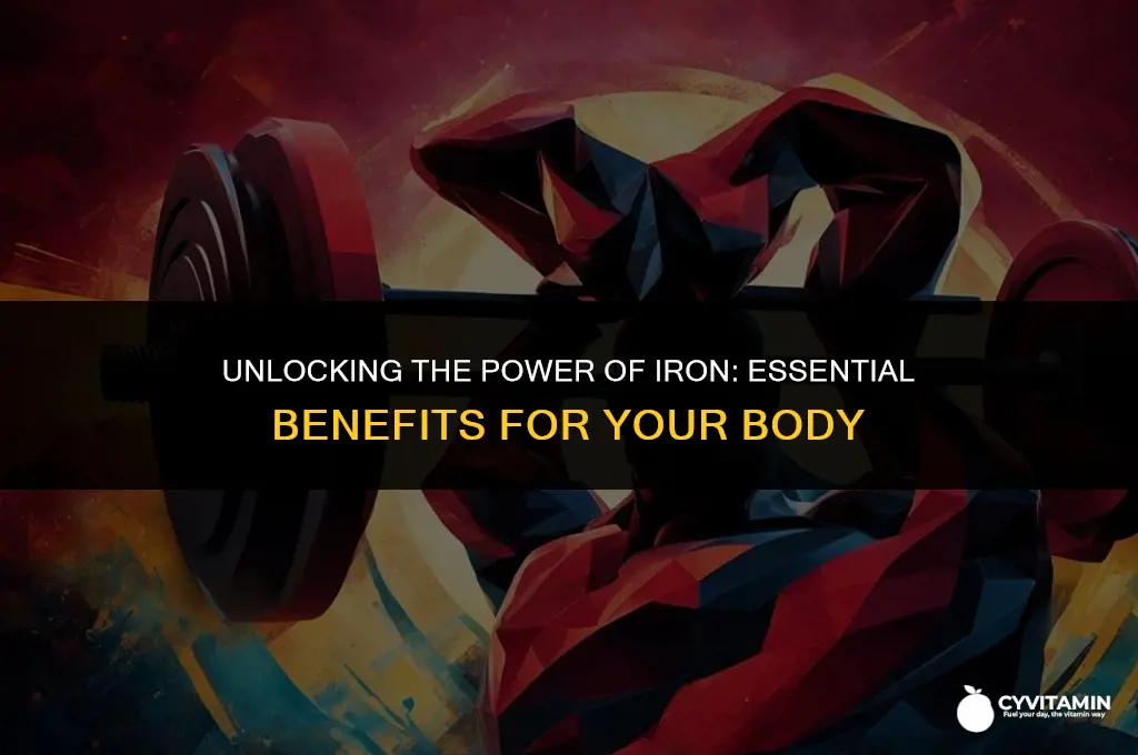 what does iron vitamins do for your body