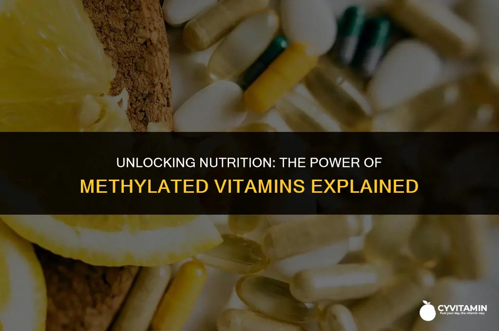 what does it mean when vitamins are methylated