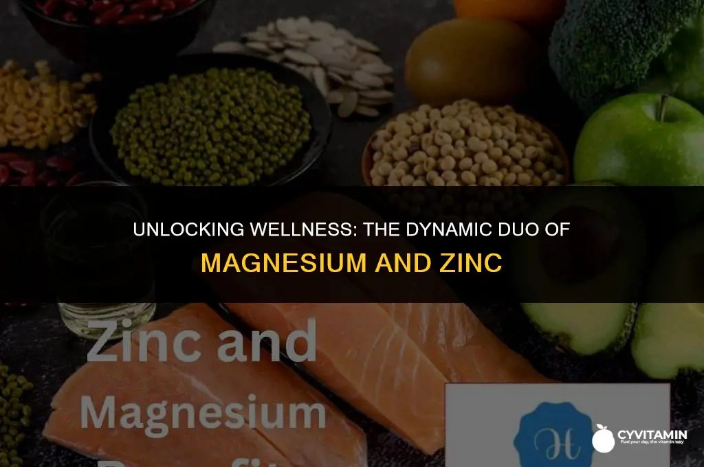 what does magnesium and zinc do for the body