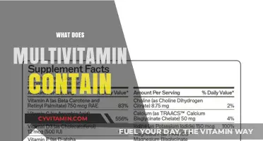 Unlocking the Power of Multivitamins: A Comprehensive Guide to Their Essential Ingredients